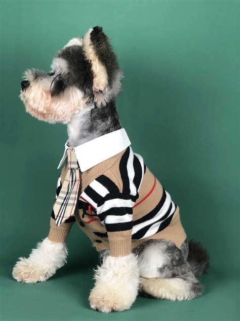 wholesale designer dog clothes|trendy dog clothes wholesale.